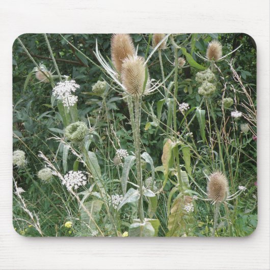 Wild Grasses Mousepad (Vorne)