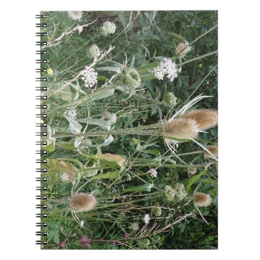 Wild Grasses Notebook Notizblock (Vorderseite)