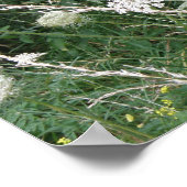Wild Grasses Print Poster (Ecke)