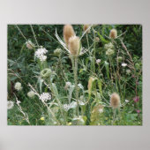 Wild Grasses Print Poster (Vorne)