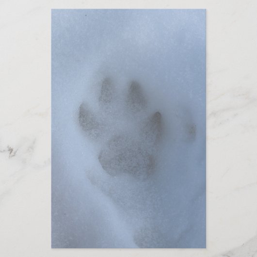 Wild grauer Wolf Paw Print im Winterschnee Briefpapier (Vorderseite)