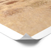 Wild Graues Pferd, Utah Poster (Ecke)