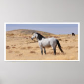 Wild Graues Pferd, Utah Poster (Vorne)