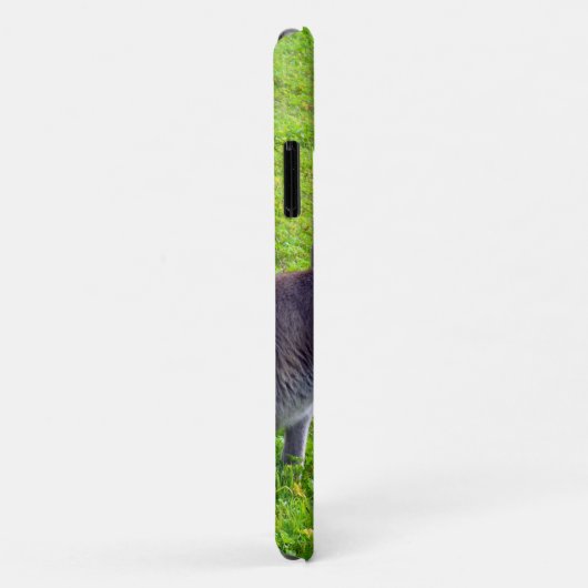 Wild Gray Australian Kangaroos, Case-Mate iPhone Hülle (Hinten/Rechts)