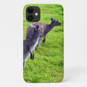 Wild Gray Australian Kangaroos, Case-Mate iPhone Hülle (Rückseite)
