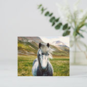 Wild Gray Horse Postkarte (Stehend Vorderseite)