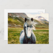 Wild Gray Horse Postkarte (Vorne/Hinten)