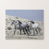 Wild Gray Horses Puzzle (Horizontal)