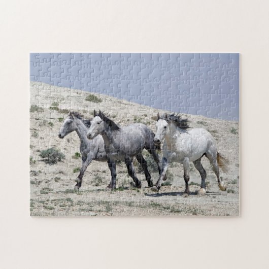 Wild Gray Horses Puzzle (Horizontal)