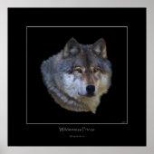 Wild Gray Wolf Art Poster (Vorne)