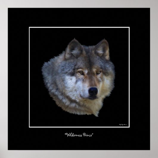 Wild Gray Wolf Art Poster (Vorne)