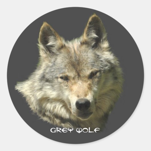 WILD GRAY WOLF Wildlife Stickers (Vorderseite)