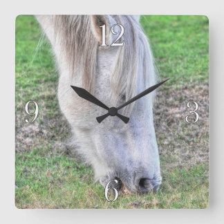 Wild Grazing New Forest Pony Hampshire, England Quadratische Wanduhr