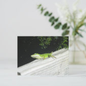 Wild Green Gecko Postkarte (Stehend Vorderseite)