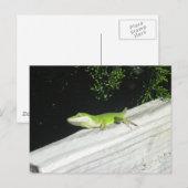 Wild Green Gecko Postkarte (Vorne/Hinten)