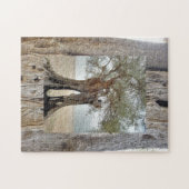 Wild griechischer Olivenbaum Keepake Puzzle (Horizontal)
