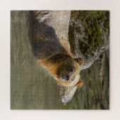 Wild Grizzly Bear am Fluss Orford Puzzle (Horizontal)