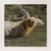 Wild Grizzly Bear am Fluss Orford Puzzle (Vertikal)