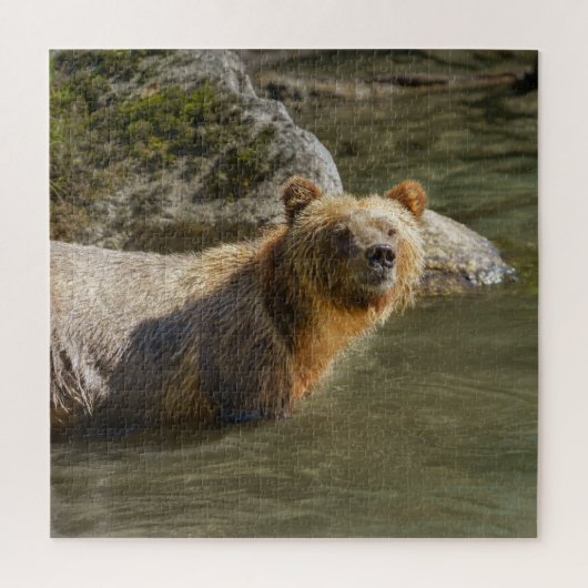 Wild Grizzly Bear am Fluss Orford Puzzle (Vertikal)