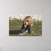 Wild Grizzly versucht Lachs an der Toba in Leinwanddruck (Vorderseite)