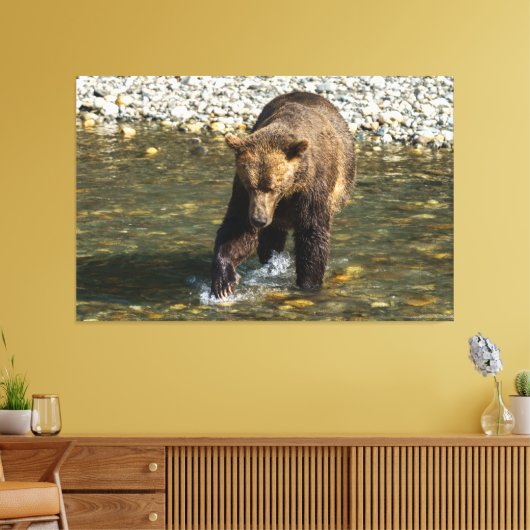Wild Grizzly versucht Lachs an der Toba in Leinwanddruck (Insitu (Wohnzimmer))