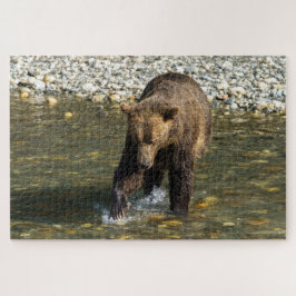 Wild Grizzly versucht, Lachs an der Toba zu fangen Puzzle