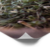 Wild Grouse Poster (Ecke)