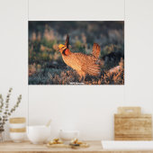 Wild Grouse Poster (Küche)