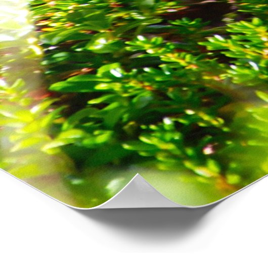 Wild Grouse Poster (Ecke)