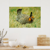 Wild Grouse Poster (Küche)
