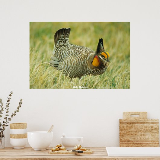 Wild Grouse Poster (Küche)