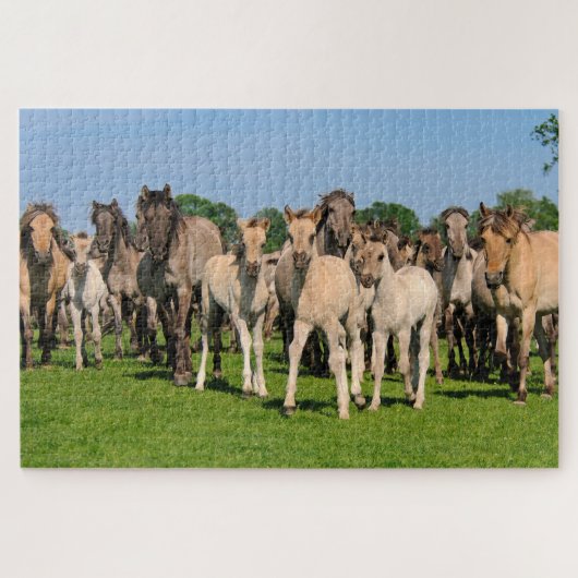Wild Grullo Colored Dulmen Pferde Niedlich Foals G Puzzle (Horizontal)