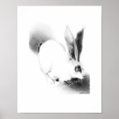 Wild Hare Card Poster (Vorne)