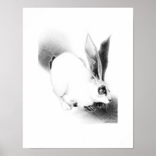 Wild Hare Card Poster (Vorne)