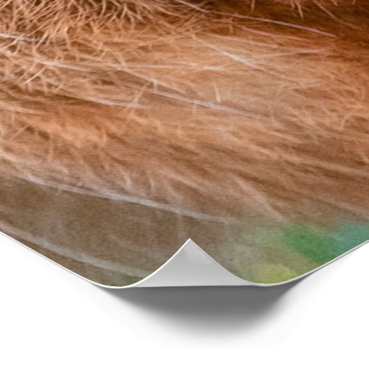 Wild hare close up eating grass in UK Poster (Ecke)