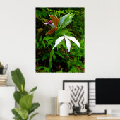 Wild Hawaiian Orchids Poster (Heimbüro)