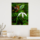 Wild Hawaiian Orchids Poster (Küche)