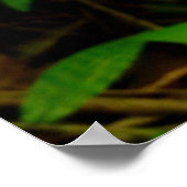 Wild Hawaiian Orchids Poster (Ecke)