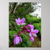 Wild Hawaiian Orchids Poster (Vorne)