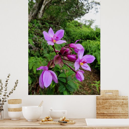 Wild Hawaiian Orchids Poster (Küche)