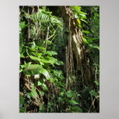 Wild Hawaiian Philodendrons Poster (Vorne)