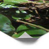 Wild Hawaiian Philodendrons Poster (Ecke)