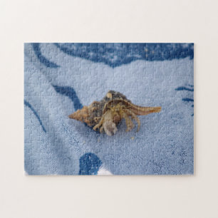 Wild Hermit Crab im Foto "Muschel Ocean Life" Puzzle