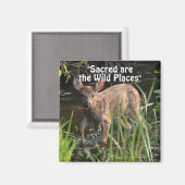 Wild Hirsch Fawn Wilderness Gift Magnete Magnet (Vorderseite/Rückseite)