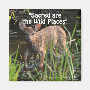 Wild Hirsch Fawn Wilderness Gift Magnete Magnet