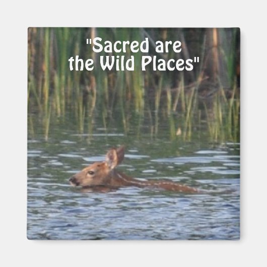Wild Hirsch Fawn Wilderness Gift Magnete Magnet (Vorne)