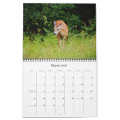 Wild Hirsch im Texas-Kalender Kalender (Mär 2027)