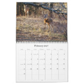 Wild Hirsch im Texas-Kalender Kalender (Feb 2027)