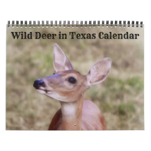 Wild Hirsch im Texas-Kalender Kalender