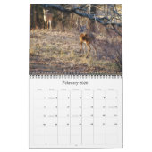 Wild Hirsch im Texas-Kalender Kalender (Feb 2026)